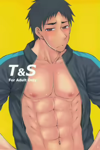 T&S — hentai manga cover on Fhentai