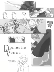 Page 3 of Domestic Venus - preview thumbnail