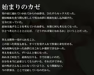 Page 33 of Soku Hame Rape sareta Ageku! Haramasareru Heroine tachi - preview thumbnail