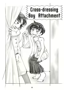 Page 5 of Crossdressing Boys Assemblage - preview thumbnail
