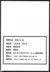 Page 41 of Kontama Plus - preview thumbnail