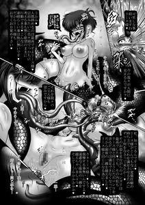 Page 13 of Dashokuki Riesz - preview thumbnail