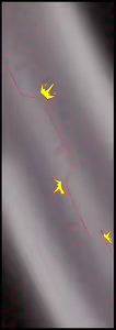 Page 69 of Install core on witches 10 - preview thumbnail