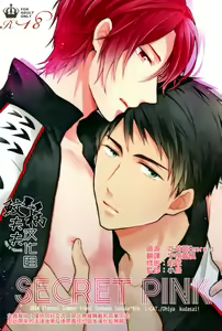 SECRET PINK - hentai manga cover image