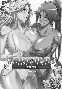 Page 3 of BRICOLA 3 - preview thumbnail