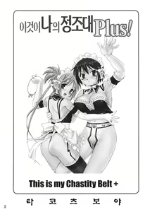 Page 3 of Kore ga Watashi no Teisoutai Plus! - This is my Chastity Belt Plus! | 이것이 나의 정조대 Plus! - preview thumbnail