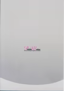 Page 22 of Shinobi Koi, Shiroi hana - preview thumbnail