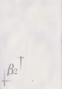 Page 2 of β2 - preview thumbnail