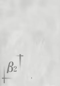 Page 3 of β2 - preview thumbnail