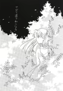 Page 13 of SAL - preview thumbnail