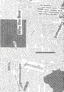 Page 2 of AA+ - preview thumbnail