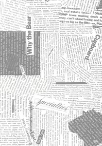Page 3 of AA+ - preview thumbnail