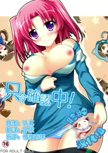 Tadaima Kakunin Chuu! — hentai manga cover on Fhentai