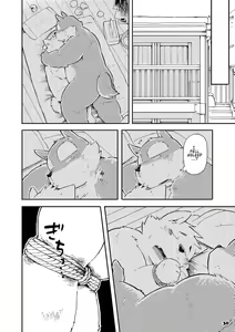 Page 29 of Mekko Rarekko 5 - preview thumbnail