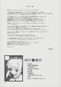 Page 33 of RE 21 - preview thumbnail