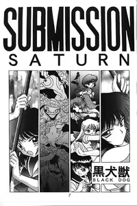Page 5 of SUBMISSION SATURN - preview thumbnail