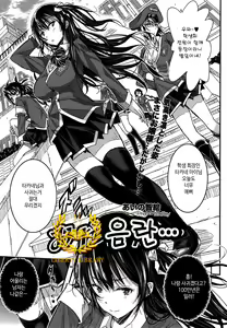Midara na... — hentai manga cover on Fhentai