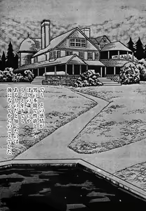 Page 40 of Gibo - preview thumbnail