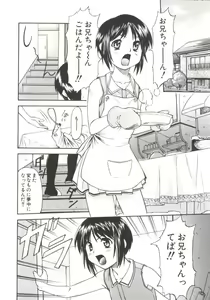 Page 91 of Charm Point - preview thumbnail