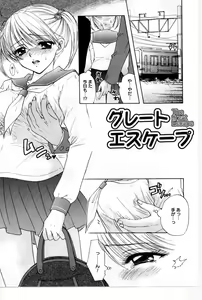 Page 66 of Sono Shoujo Fushidara Nitsuki - preview thumbnail