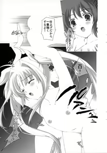 Page 13 of Lyrical Magical Nanoha Ganbaru - preview thumbnail
