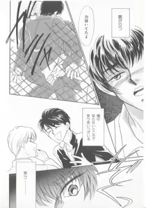 Page 97 of Seishounen Renai Jijou - preview thumbnail