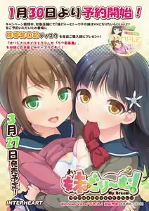 Page 3 of My Dream! ~Uchi no Imouto wa xx ni Naritairashii~ - preview thumbnail
