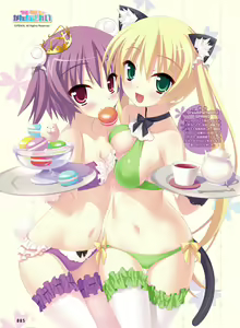 Page 84 of Dengeki Otona no Moeoh Vol.04 - preview thumbnail