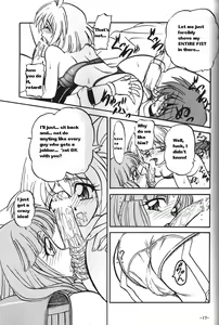 Page 17 of BTB-23 DOUBLE INCOME - preview thumbnail