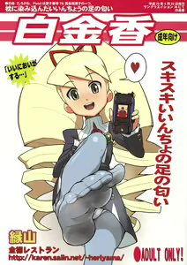 Shirogane Kou — hentai manga cover on Fhentai