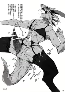 Page 17 of ♂ Kemo Lingerie Book - preview thumbnail