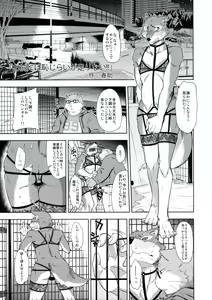 Page 28 of ♂ Kemo Lingerie Book - preview thumbnail