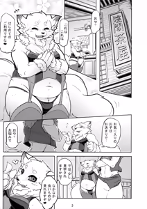 Page 4 of ♂ Kemo Lingerie Book - preview thumbnail
