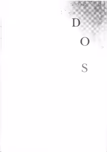 Page 3 of DOS - preview thumbnail