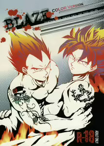 Blaze — hentai manga cover on Fhentai