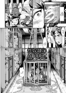 Seidorei no Tsukurikata | How to Make a Sex Slave — hentai manga cover on Fhentai