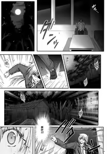 Page 33 of T-22 Nanoism - preview thumbnail