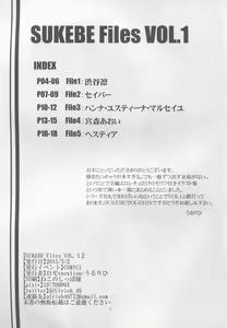 Page 3 of SUKEBE Files VOL. 1 - preview thumbnail