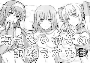 Saenai Heroine no Oshiekata — hentai manga cover on Fhentai