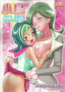 Kotori Donburi - hentai manga cover image