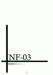 Page 3 of NF-03 - preview thumbnail