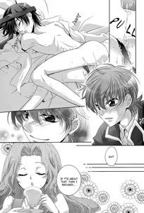 Page 25 of Holic/01 - preview thumbnail