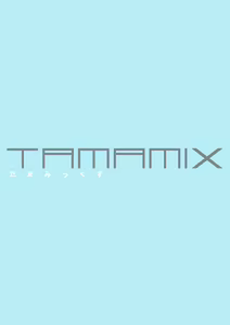Page 3 of TAMAMIX - preview thumbnail