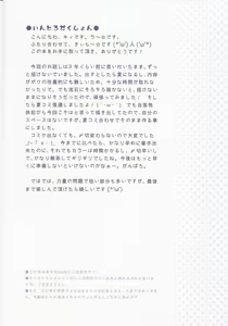 Page 3 of Komeiji Satori to Aru Natsu no Hi... - preview thumbnail