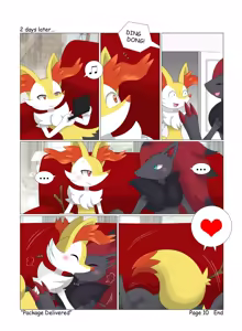 Page 10 of Package Delivered - preview thumbnail