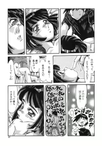Page 17 of Hito no Katachi - preview thumbnail