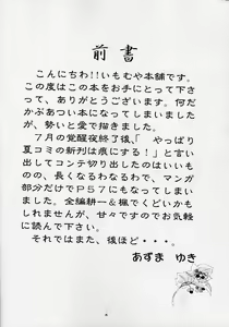 Page 3 of Shiawase no Katachi - preview thumbnail