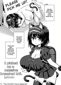 Loli Kyonyuu Hirotta. — hentai manga cover on Fhentai