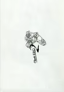Page 8 of Check Ero 2 - preview thumbnail