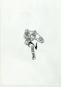 Page 8 of Check Ero 2 - preview thumbnail